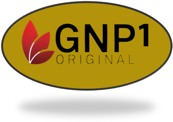 GNP